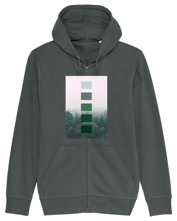 Green Forest Anthracite