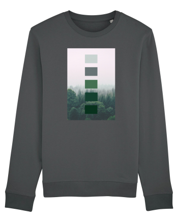 Green Forest Anthracite