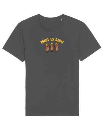 MICI  IS LIFE / MICII SUNT  VIATA Anthracite