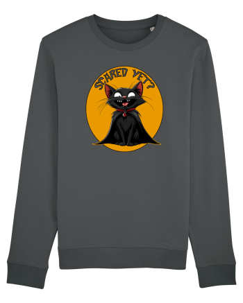 SCARED YET? - PISICA NEAGRA - DRACULA Anthracite