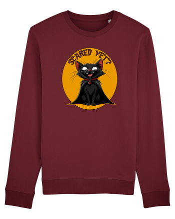SCARED YET? - PISICA NEAGRA - DRACULA Burgundy