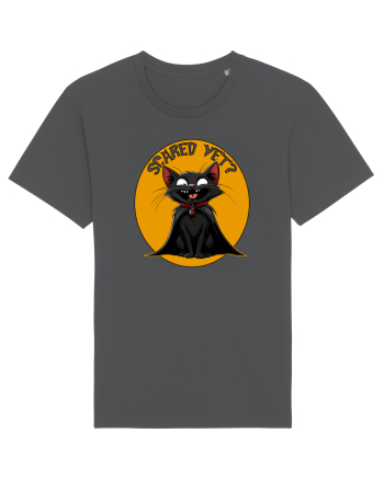 SCARED YET? - PISICA NEAGRA - DRACULA Anthracite