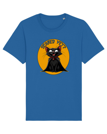 SCARED YET? - PISICA NEAGRA - DRACULA Royal Blue