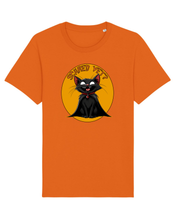 SCARED YET? - PISICA NEAGRA - DRACULA Bright Orange