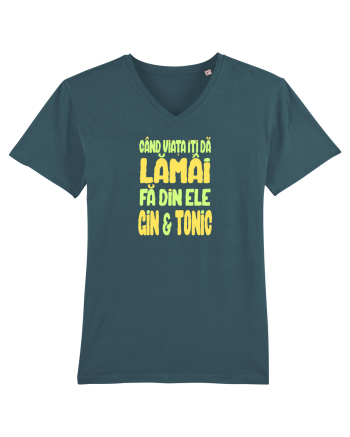 CAND VIATA ITI DA LAMAI, FA DIN ELE GIN & TONIC Stargazer
