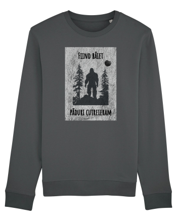 Liric pentru el Anthracite