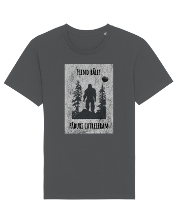 Liric pentru el Anthracite