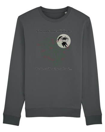 Liric pentru ea Anthracite
