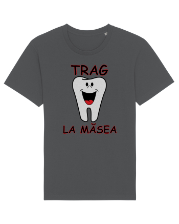 Dentist pasionat Anthracite
