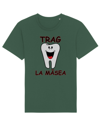 Dentist pasionat Bottle Green