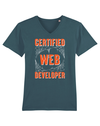 pentru programatori - Certified web developer Stargazer