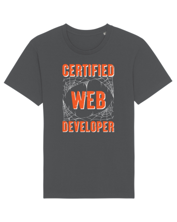 pentru programatori - Certified web developer Anthracite