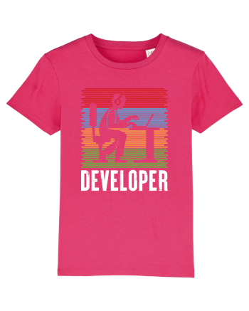 pentru programatori - Developer Raspberry