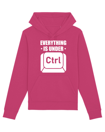 pentru programatori - Everything is under control Raspberry