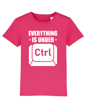 pentru programatori - Everything is under control Raspberry