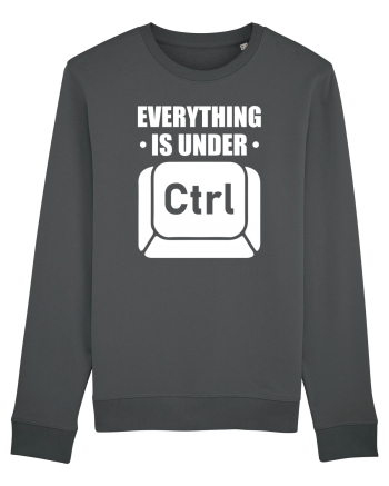 pentru programatori - Everything is under control Anthracite