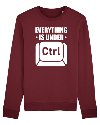 pentru programatori - Everything is under control Burgundy
