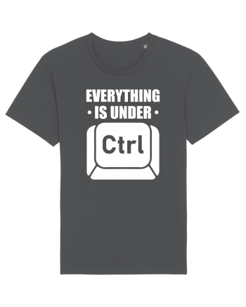 pentru programatori - Everything is under control Anthracite