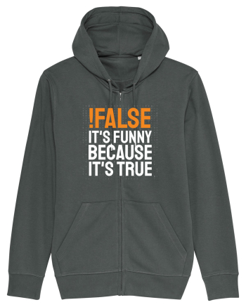 pentru programatori - Funny because it is true Anthracite