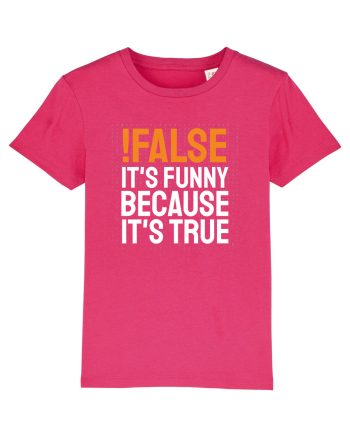 pentru programatori - Funny because it is true Raspberry