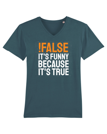 pentru programatori - Funny because it is true Stargazer