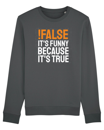 pentru programatori - Funny because it is true Anthracite