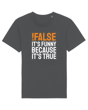 pentru programatori - Funny because it is true Anthracite
