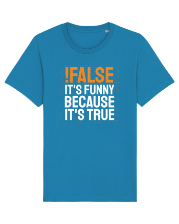 pentru programatori - Funny because it is true Azur