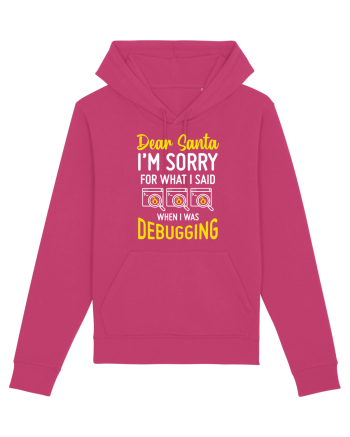 pentru programatori - I am sorry for what I said when I was debugging Raspberry