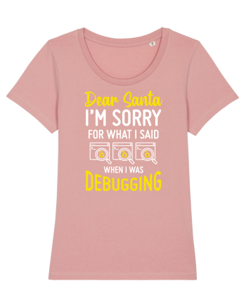 pentru programatori - I am sorry for what I said when I was debugging Canyon Pink