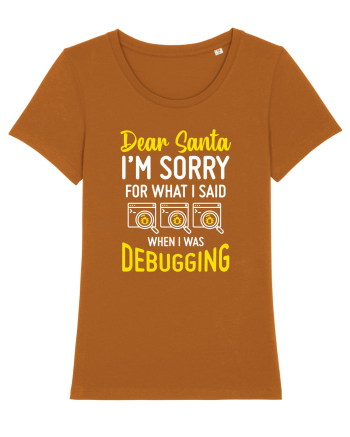 pentru programatori - I am sorry for what I said when I was debugging Roasted Orange