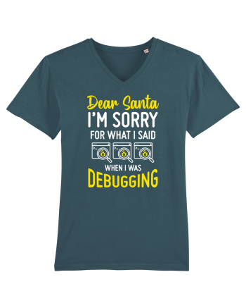 pentru programatori - I am sorry for what I said when I was debugging Stargazer