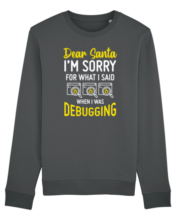 pentru programatori - I am sorry for what I said when I was debugging Anthracite