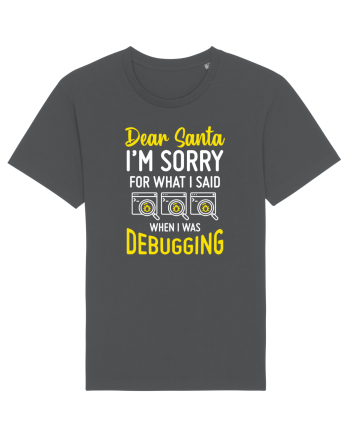 pentru programatori - I am sorry for what I said when I was debugging Anthracite