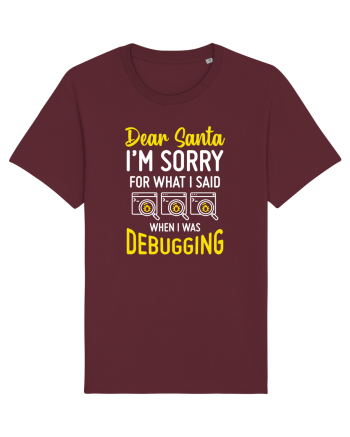 pentru programatori - I am sorry for what I said when I was debugging Burgundy