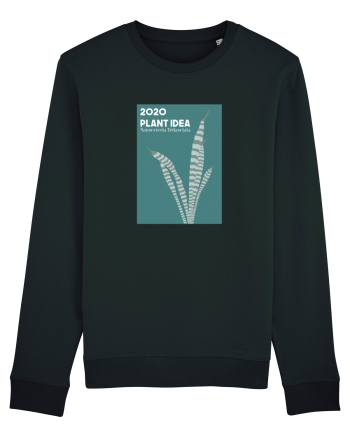 2020 Plant Idea Black
