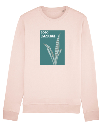 2020 Plant Idea Candy Pink
