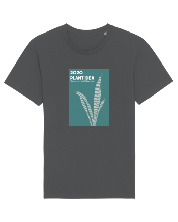 2020 Plant Idea Anthracite
