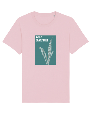 2020 Plant Idea Cotton Pink