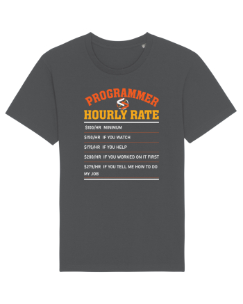 pentru programatori - Programmer hourly rate Anthracite