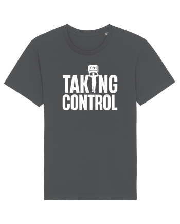 pentru programatori - Taking control Anthracite