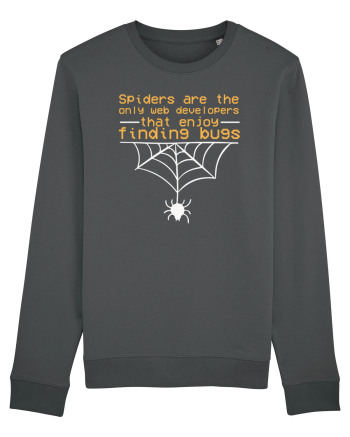 pentru programatori - Web developers that enjoy finding bugs Anthracite