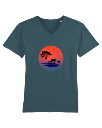 Elephants Stargazer
