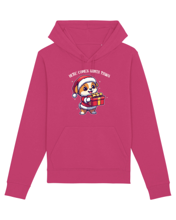 HERE COMES SANTA PAWS! ok Raspberry