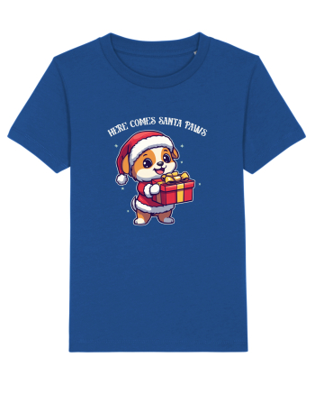 HERE COMES SANTA PAWS! ok Majorelle Blue