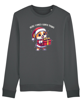 HERE COMES SANTA PAWS! ok Anthracite