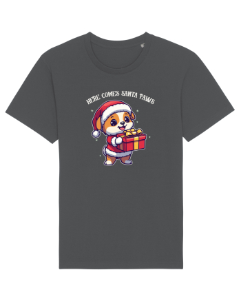 HERE COMES SANTA PAWS! ok Anthracite