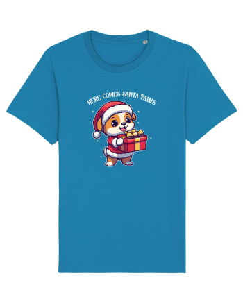 HERE COMES SANTA PAWS! ok Azur