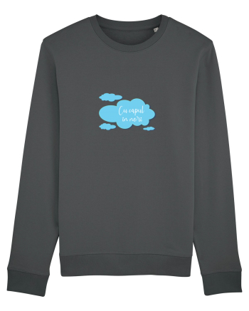 Cu capul in nori Anthracite