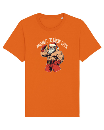 MOSULE, CE TANAR ESTI! Bright Orange